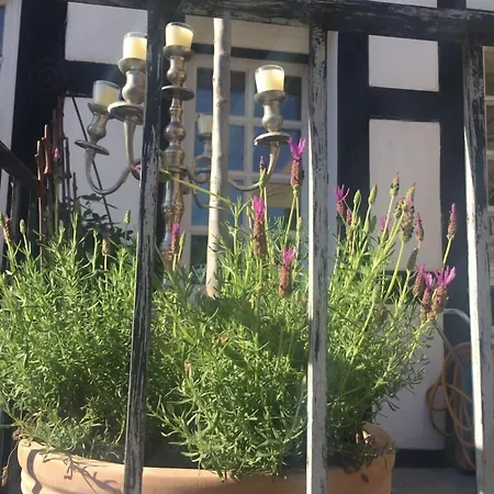 Altes Nagel 3* Эрлингхаузен