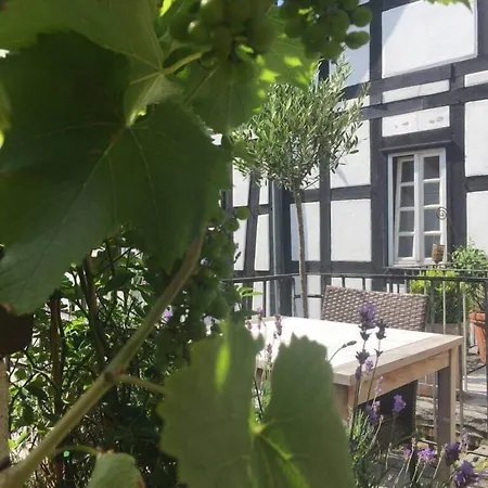 Altes Nagel Отель Эрлингхаузен